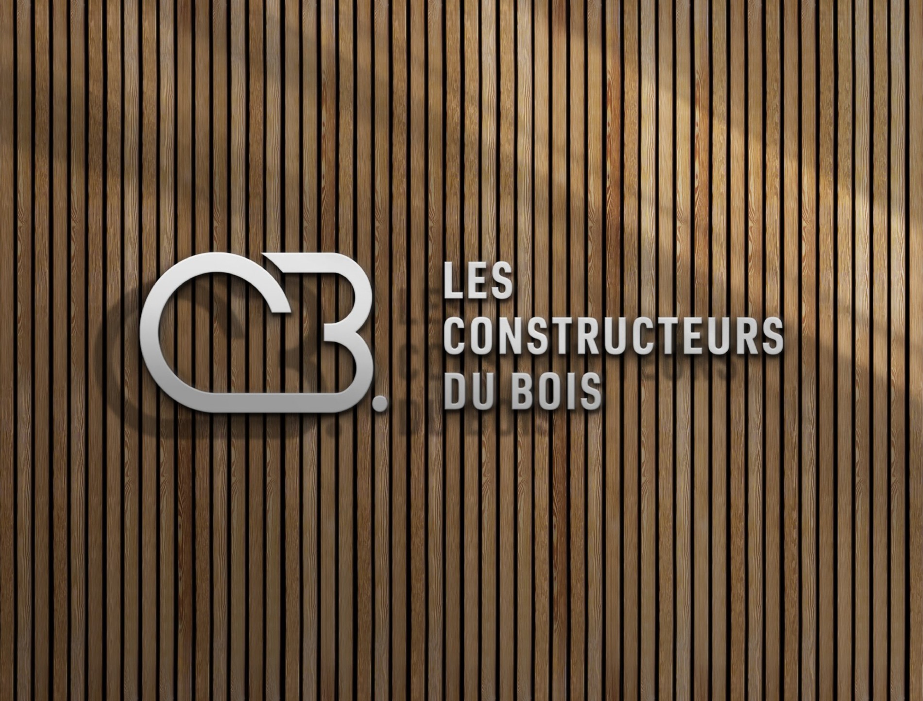 PSD 001 Copie